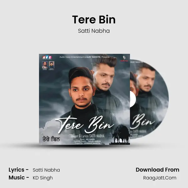 Tere Bin MP3 Song by Satti Nabha Cover