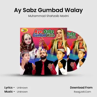 Ay Sabz Gumbad Walay MP3 Song by Muhammad Shahzaib Madni Cover