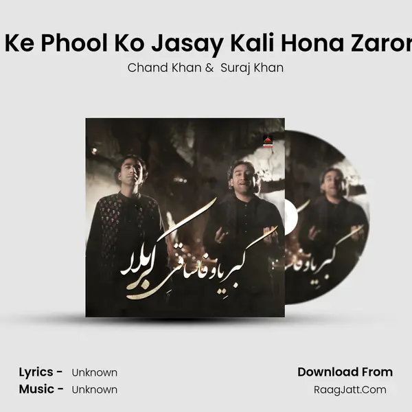 Wila Ke Phool Ko Jasay Kali Hona Zarori Hai mp3 song