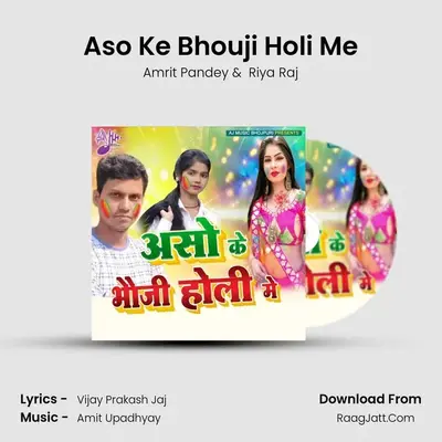 Aso Ke Bhouji Holi Me mp3 song