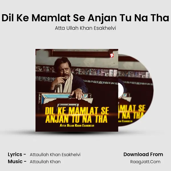 Dil Ke Mamlat Se Anjan Tu Na Tha mp3 song