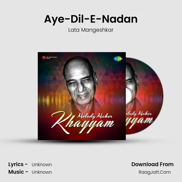 Aye-Dil-E-Nadan Cover