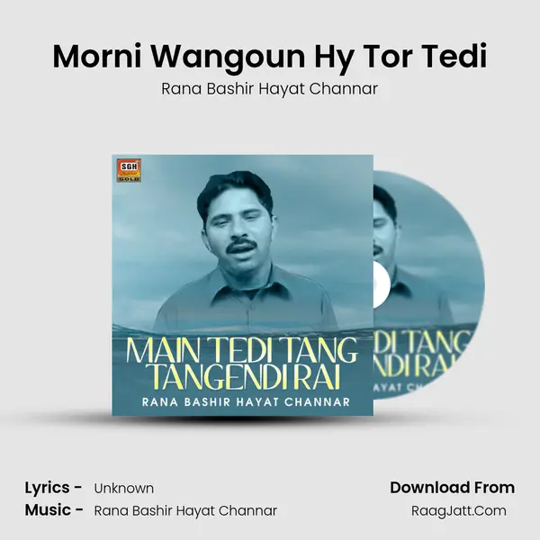 Morni Wangoun Hy Tor Tedi MP3 Song by Rana Bashir Hayat Channar Cover