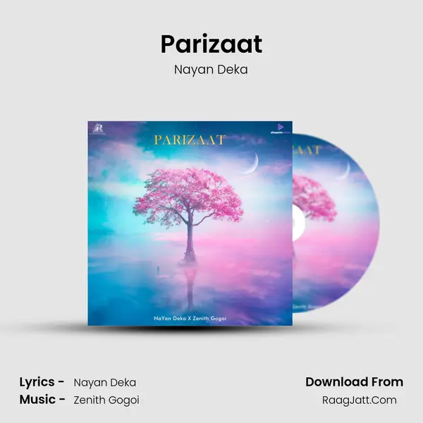 Parizaat MP3 Song by Nayan Deka Cover