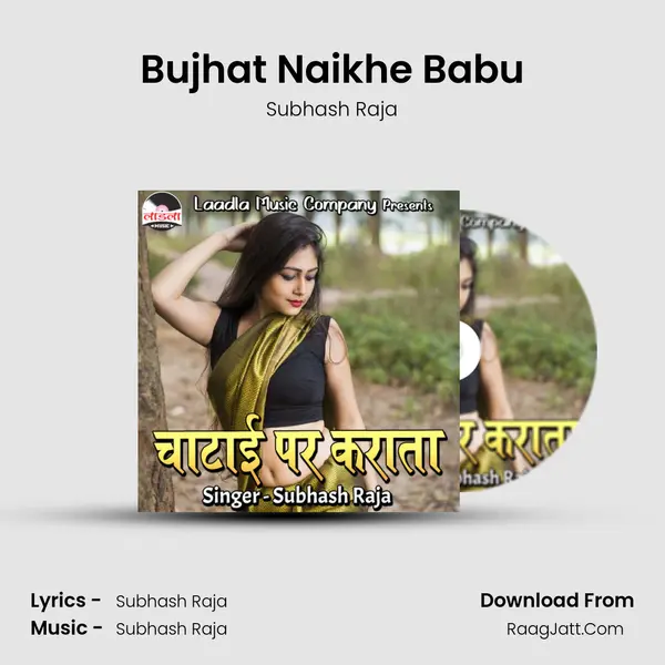 Bujhat Naikhe Babu Cover