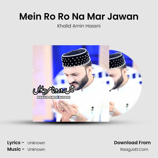 Mein Ro Ro Na Mar Jawan mp3 song