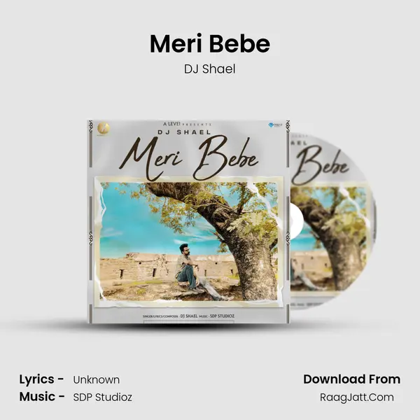 Meri Bebe MP3 Song by DJ Shael Cover