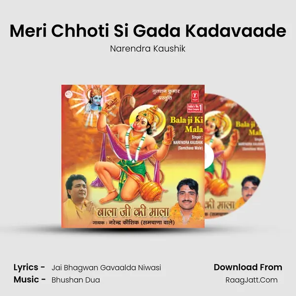 Meri Chhoti Si Gada Kadavaade MP3 Song by Narendra Kaushik Cover