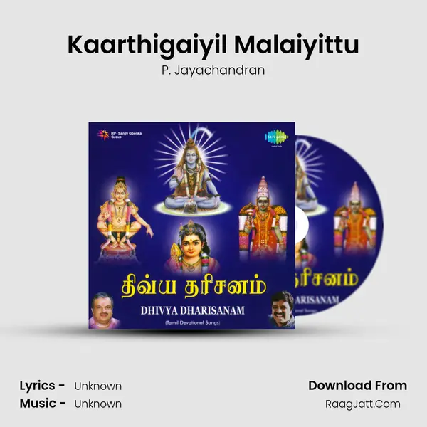 Kaarthigaiyil Malaiyittu MP3 Song by P. Jayachandran Cover