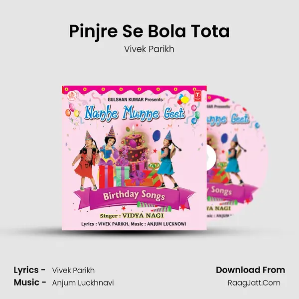 Pinjre Se Bola Tota MP3 Song by Vivek Parikh Cover