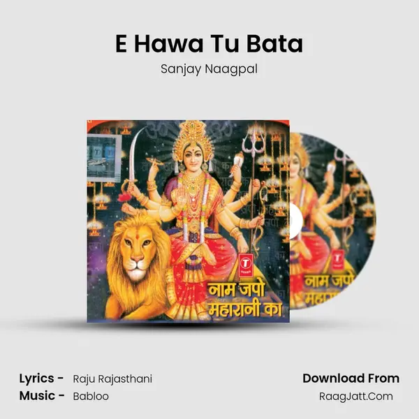 E Hawa Tu Bata MP3 Song by Sanjay Naagpal Cover