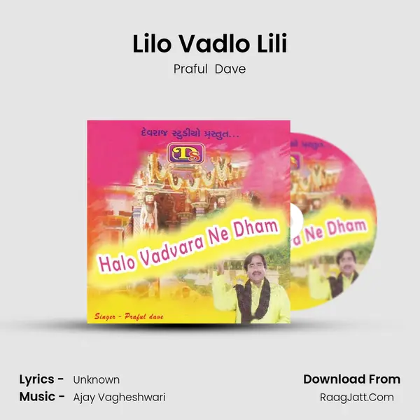 Lilo Vadlo Lili MP3 Song by Praful  Dave Cover