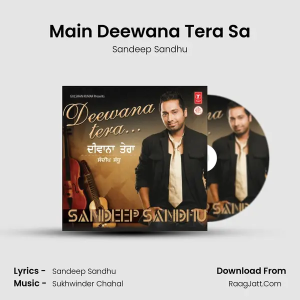 Main Deewana Tera Sa mp3 song