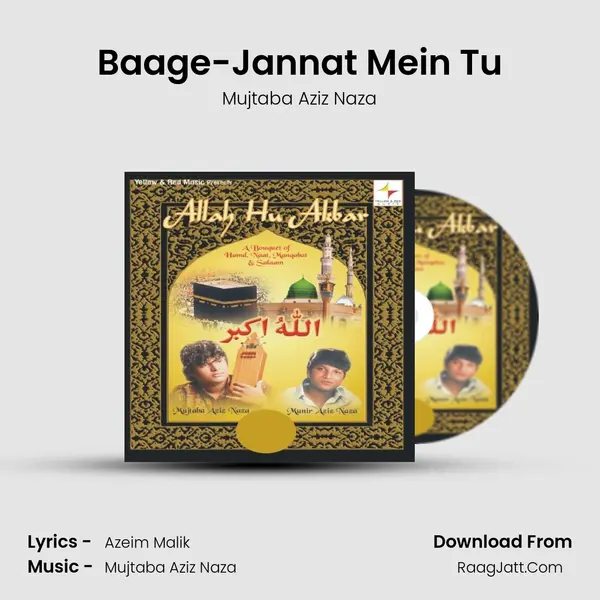 Baage-Jannat Mein Tu MP3 Song by Mujtaba Aziz Naza Cover