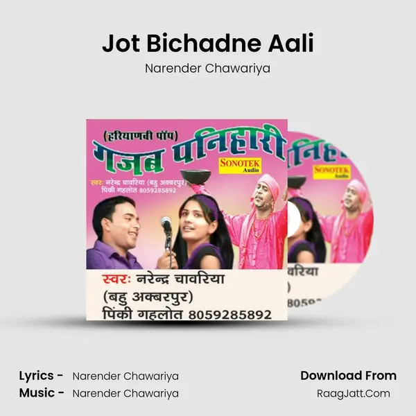 Jot Bichadne Aali MP3 Song by Narender Chawariya Cover