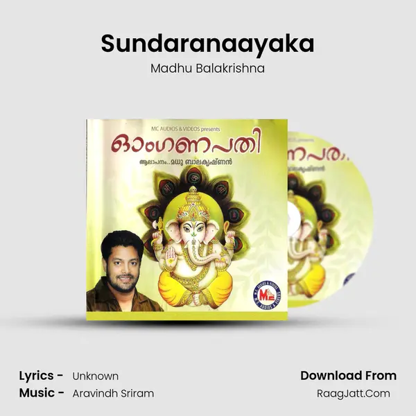 Sundaranaayaka MP3 Song by Madhu Balakrishna Cover