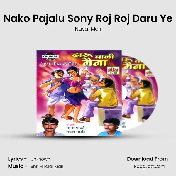 Nako Pajalu Sony Roj Roj Daru Ye MP3 Song by Naval Mali Cover