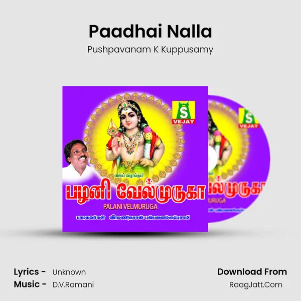 Paadhai Nalla MP3 Song by Pushpavanam K Kuppusamy Cover