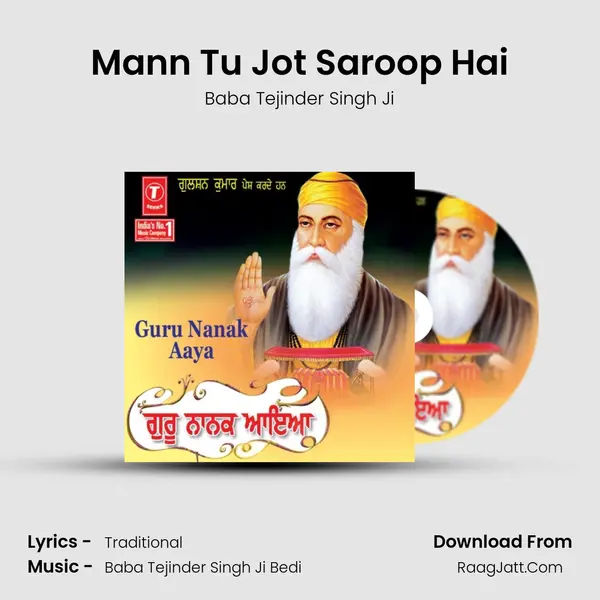 Mann Tu Jot Saroop Hai MP3 Song by Baba Tejinder Singh Ji Cover