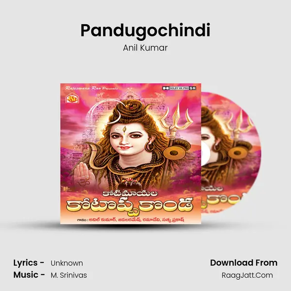 Pandugochindi MP3 Song by Anil Kumar Cover