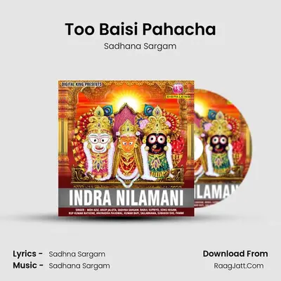 Too Baisi Pahacha Cover