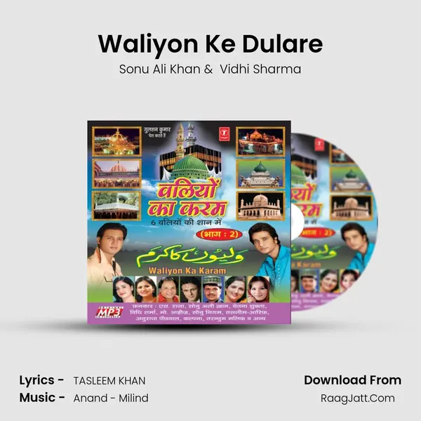Waliyon Ke Dulare MP3 Song by Sonu Ali Khan Cover