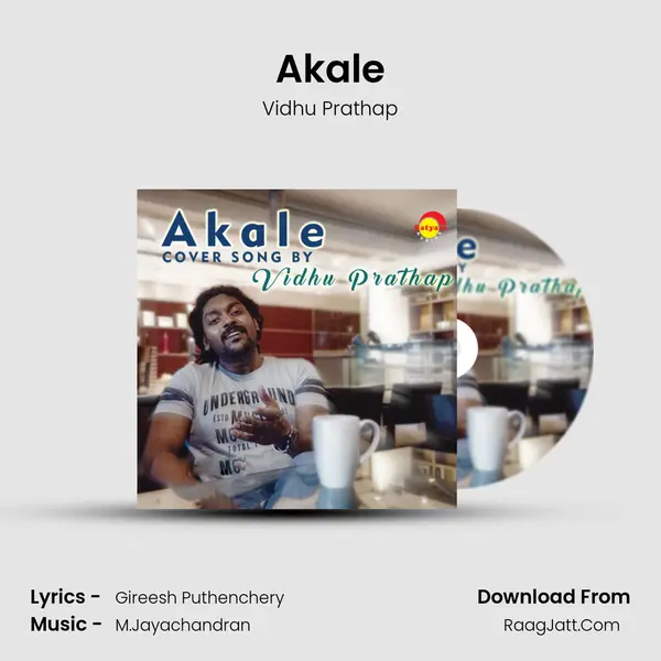 Akale (Recreated Version) - Vidhu Prathap