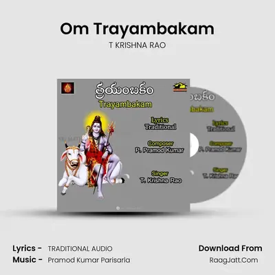 Om Trayambakam - T KRISHNA RAO
