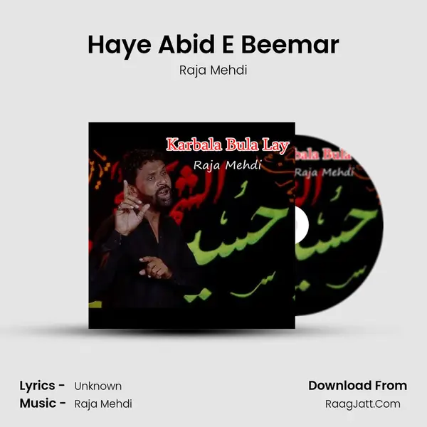 Haye Abid E Beemar MP3 Song by Raja Mehdi Cover
