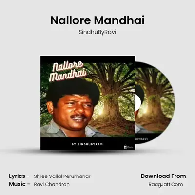 Nallore Mandhai - SindhuByRavi