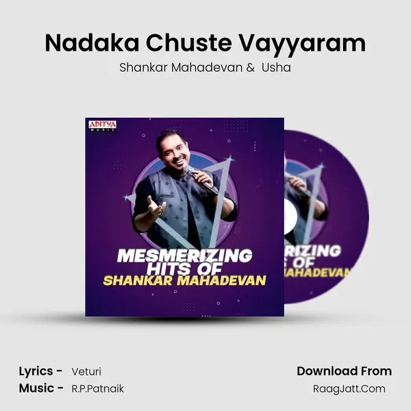 Nadaka Chuste Vayyaram Cover