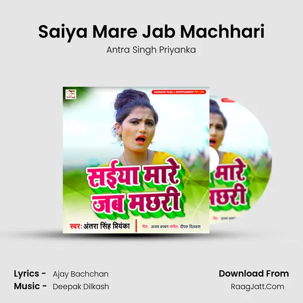 Saiya Mare Jab Machhari mp3 song