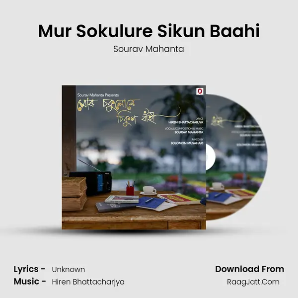 Mur Sokulure Sikun Baahi mp3 song