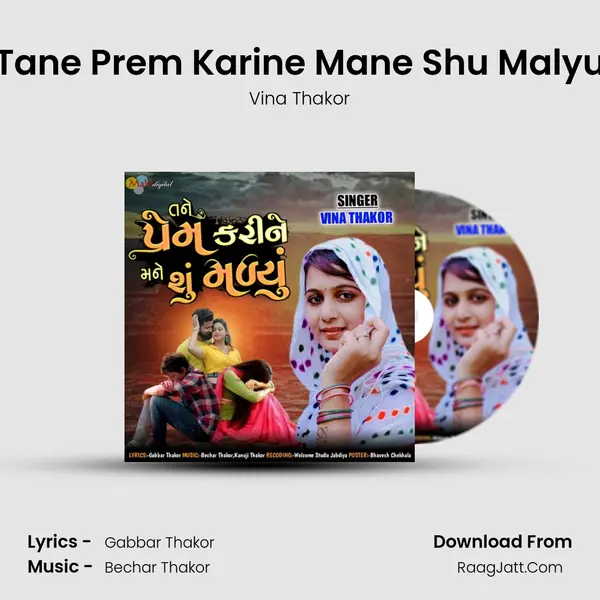 Tane Prem Karine Mane Shu Malyu - Vina Thakor