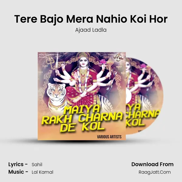 Tere Bajo Mera Nahio Koi Hor Cover