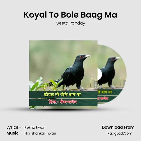 Koyal To Bole Baag Ma mp3 song