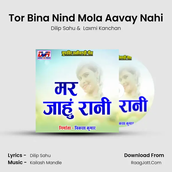 Tor Bina Nind Mola Aavay Nahi MP3 Song by Dilip Sahu Cover