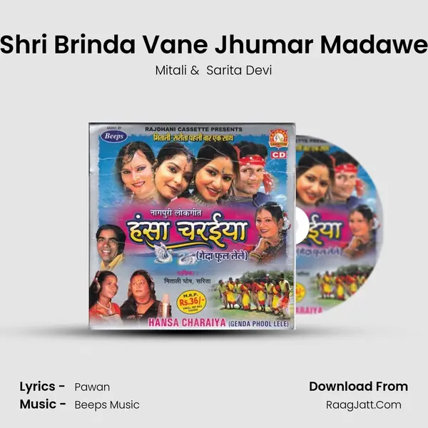 Shri Brinda Vane Jhumar Madawe MP3 Song by Mitali Cover