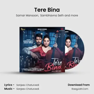 Tere Bina mp3 song