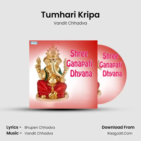 Tumhari Kripa MP3 Song by Vandit Chhadva Cover