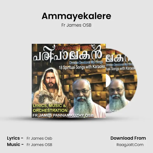 Ammayekalere MP3 Song by Fr James OSB Cover