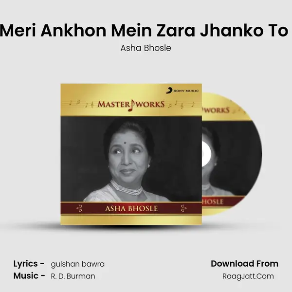 Meri Ankhon Mein Zara Jhanko To (From "Andar Baahar") Cover
