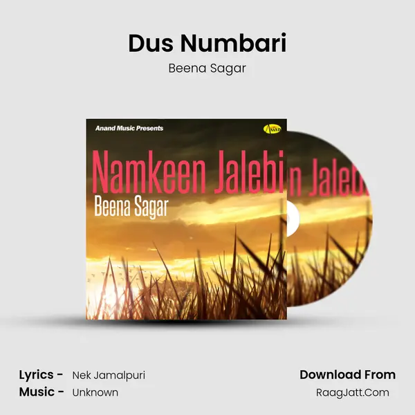 Dus Numbari MP3 Song by Beena Sagar Cover
