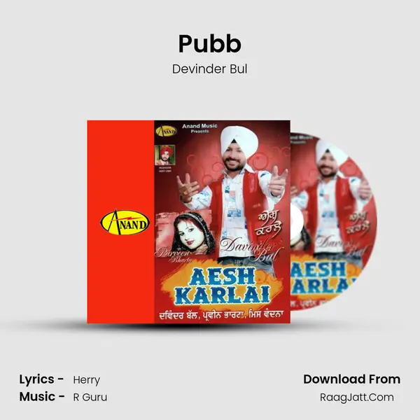 Pubb MP3 Song by Devinder Bul Cover