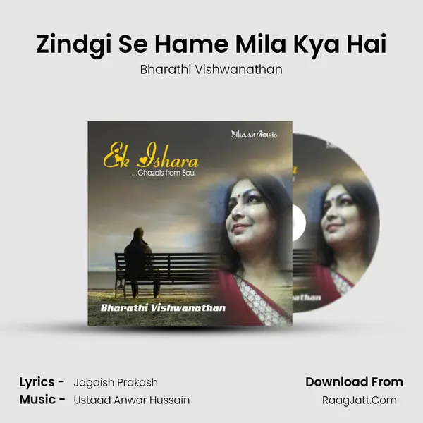 Zindgi Se Hame Mila Kya Hai Cover