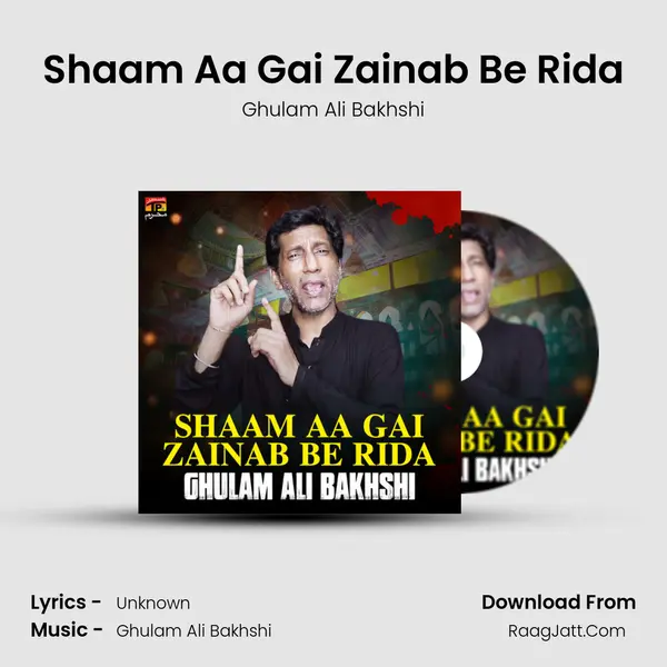 Shaam Aa Gai Zainab Be Rida mp3 song