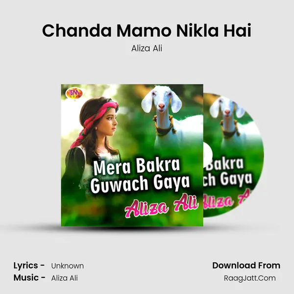 Chanda Mamo Nikla Hai mp3 song