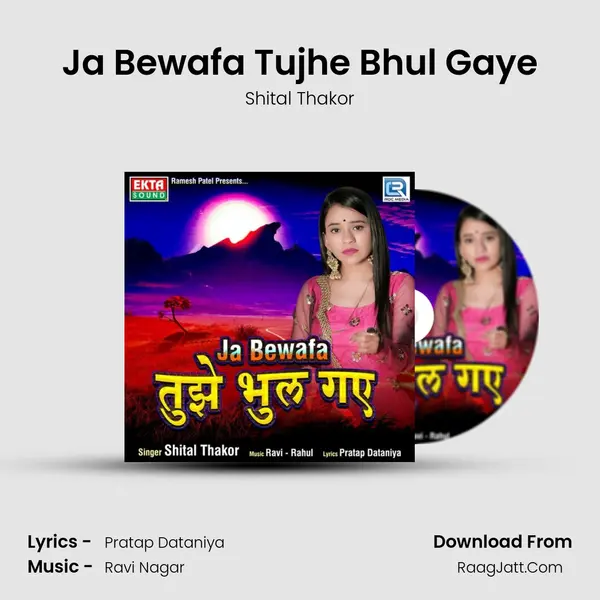 Ja Bewafa Tujhe Bhul Gaye mp3 song