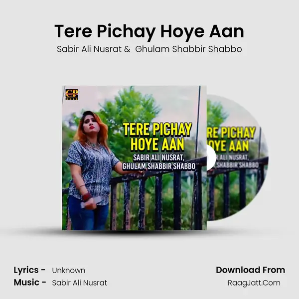 Tere Pichay Hoye Aan Cover