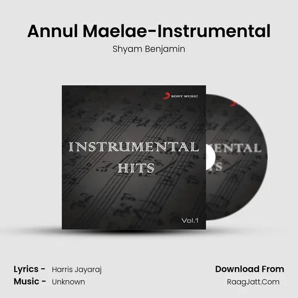 Annul Maelae-Instrumental MP3 Song by Shyam Benjamin Cover